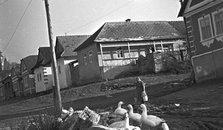 Zobraziť fotografiu