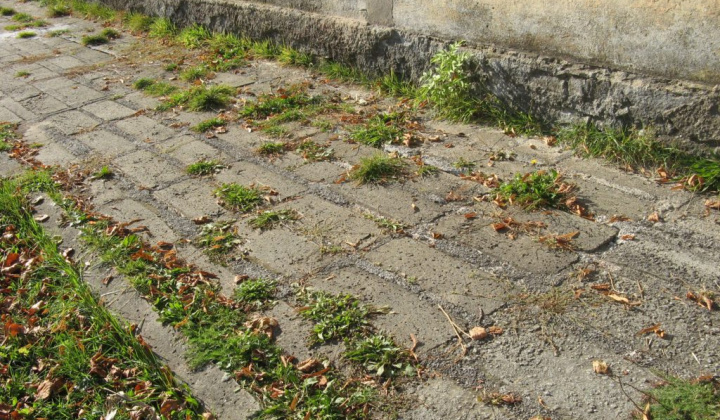 Zobraziť fotografiu